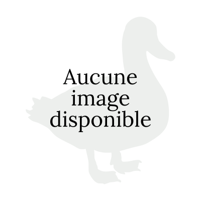 Lot de 2 foies gras 200g